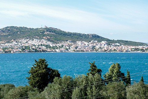 limon-view