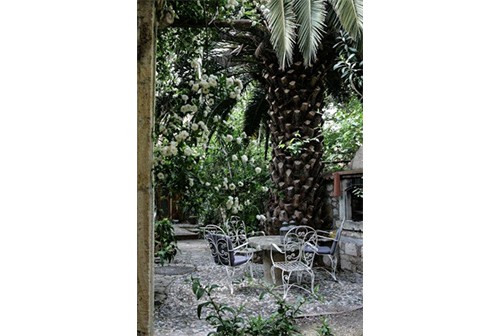 stone-garden