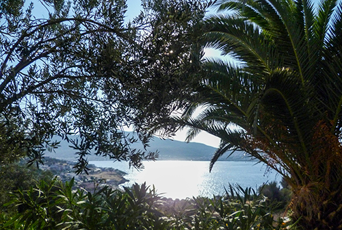 susam-view